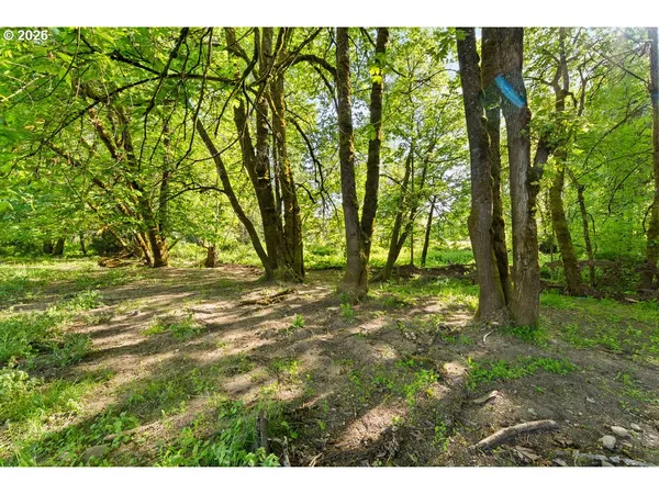 a view of a lake view