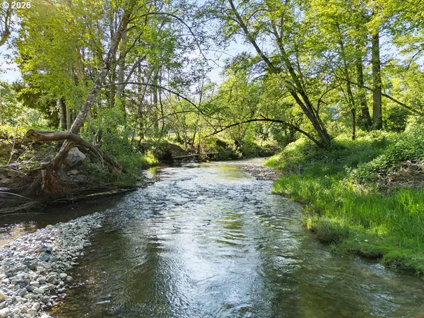 a view of a lush green forest