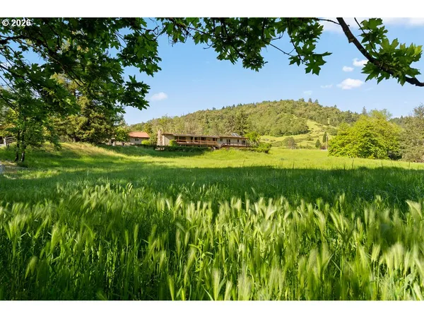 a view of a big yard with large trees