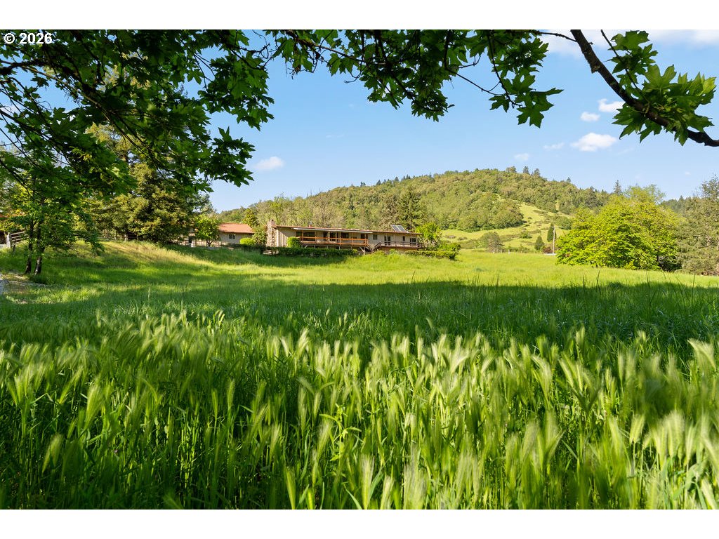 2233 East Riverside Drive Myrtle Creek, OR 97457 - Photo 42 of 47 a view of a lush green forest