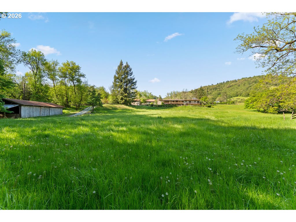 2233 East Riverside Drive Myrtle Creek, OR 97457 - Photo 43 of 47 a view of a big yard with large trees