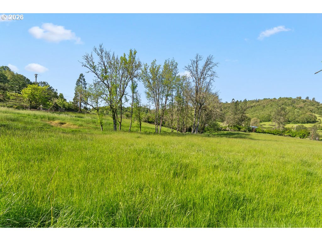 2233 East Riverside Drive Myrtle Creek, OR 97457 - Photo 44 of 47 a view of outdoor space and yard