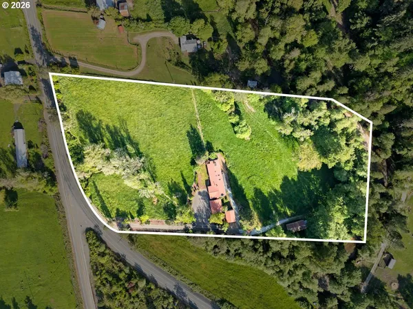 a view of a swimming pool with a garden