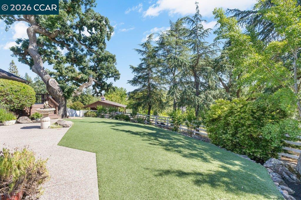 189 Oak Road Alamo, CA 94507 - Photo 55 of 86