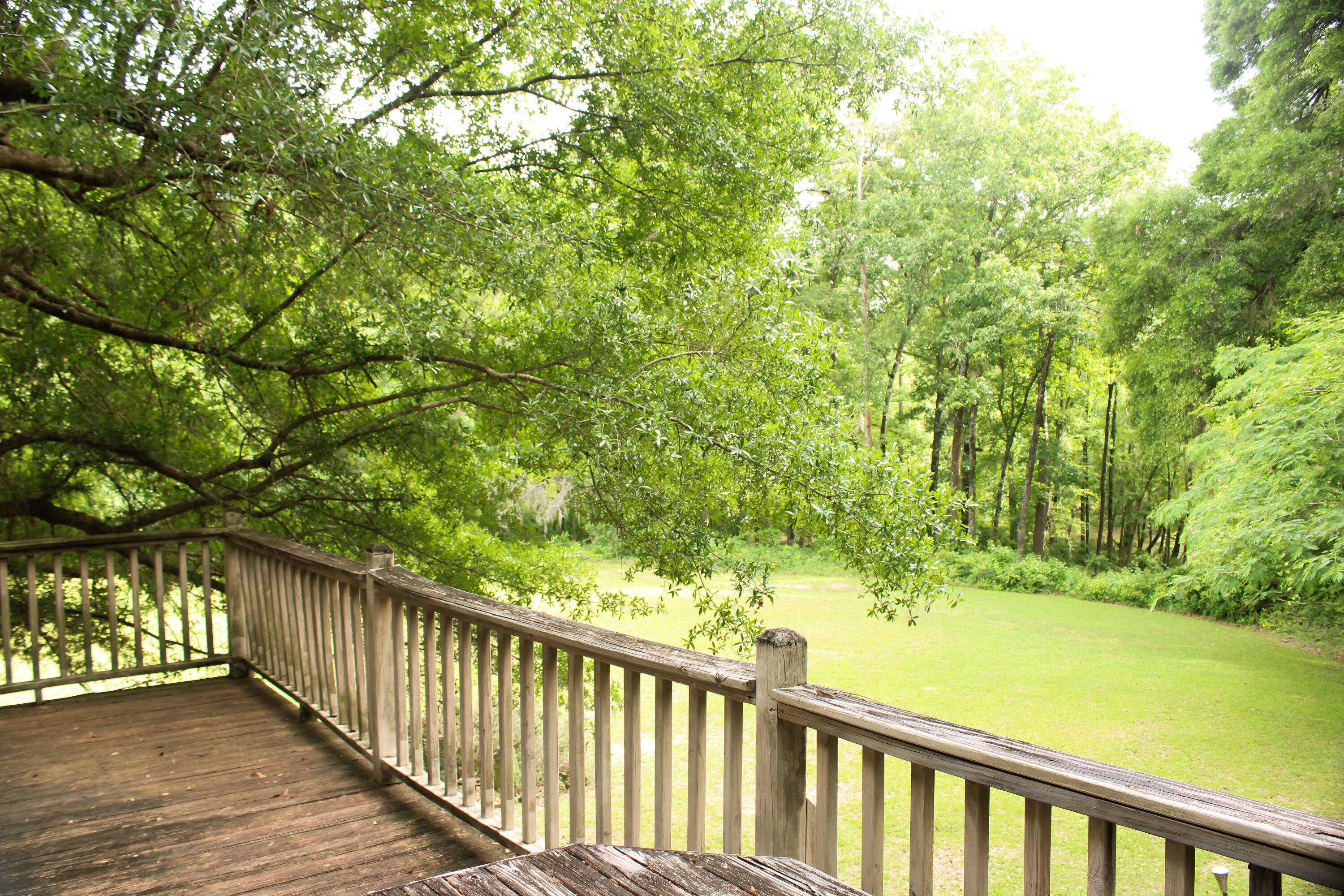 5451 Wire Road Branchville, SC 29432 - Photo 11 of 31
