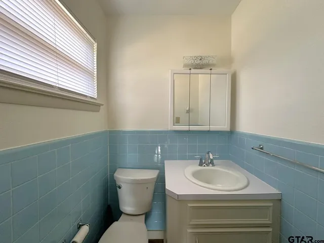 a bathroom with a sink a toilet and a mirror