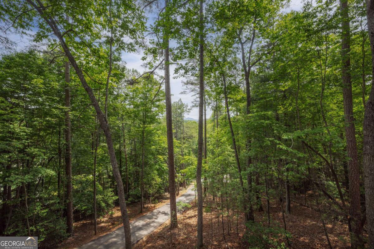 190 Laurel Crossing, Unit 71 Blue Ridge, GA 30513 - Photo 4 of 32