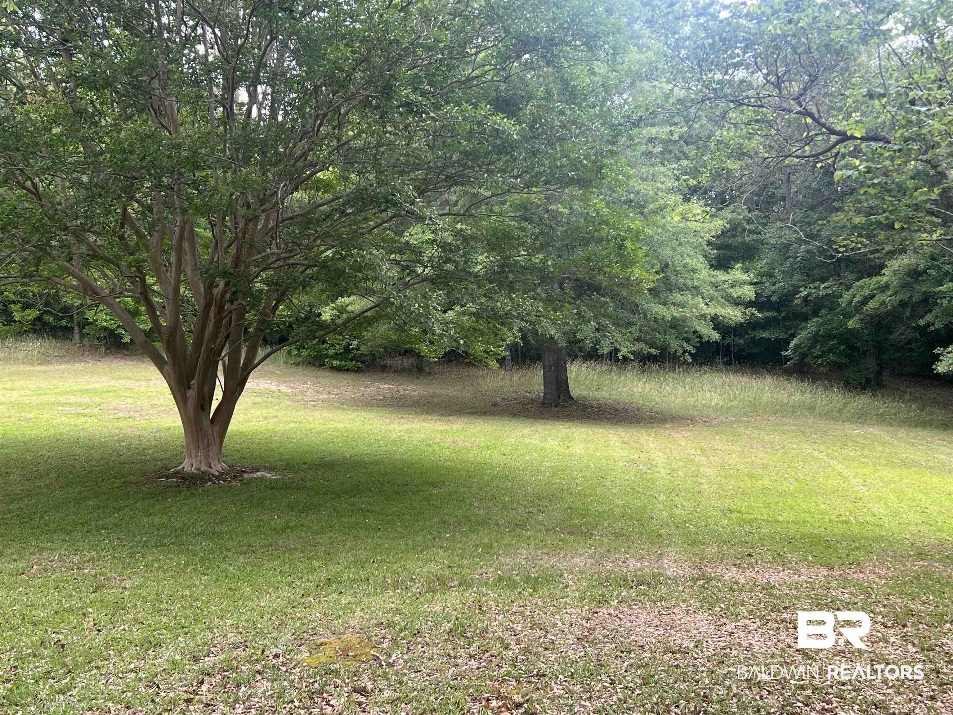 1823 Experiment Farm Road Monroeville, AL 36460 - Photo 37 of 46