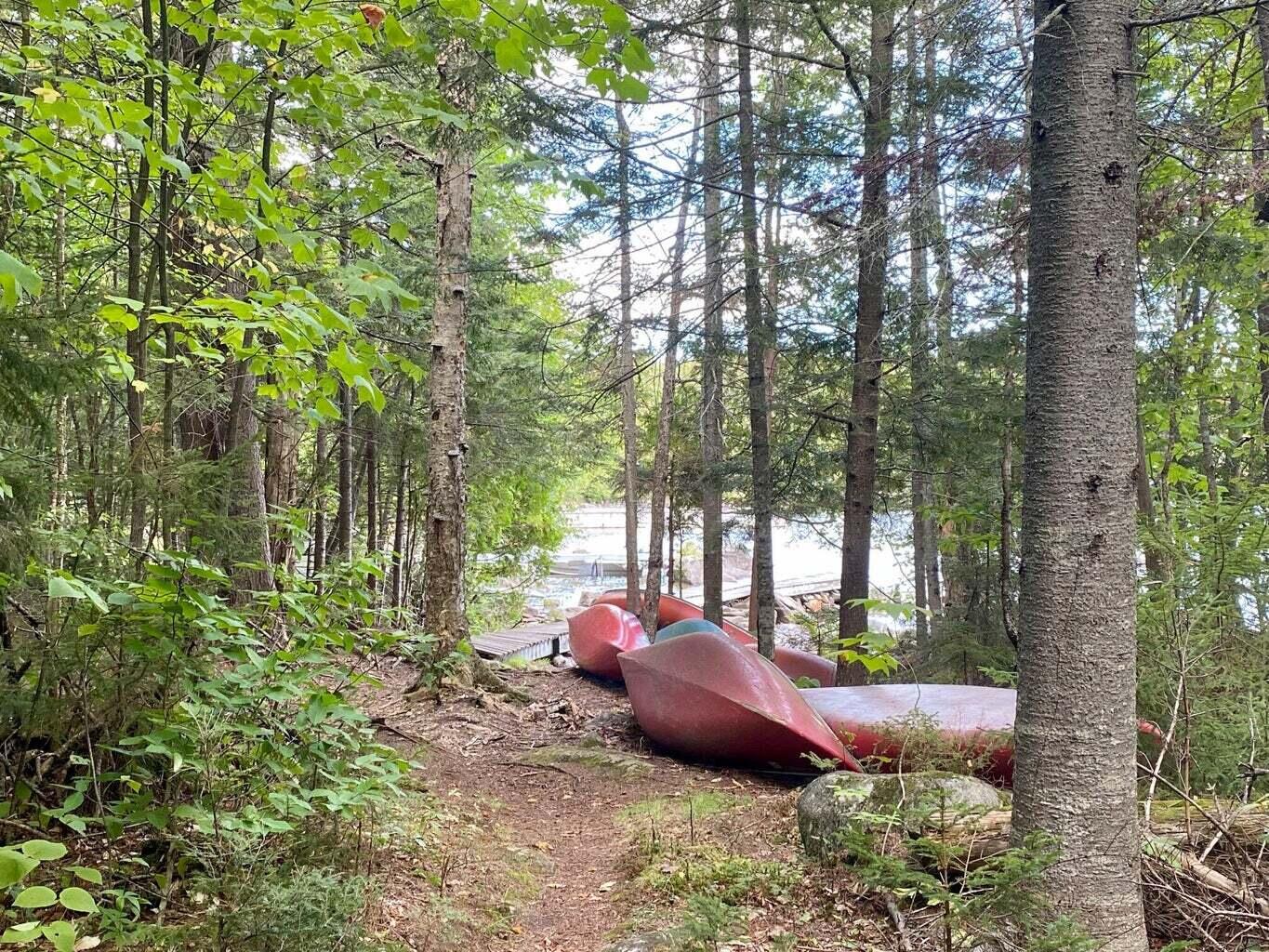 15 Davis Ridge Road Greenville Junction, ME 04442 - Photo 51 of 55 IMG_5652