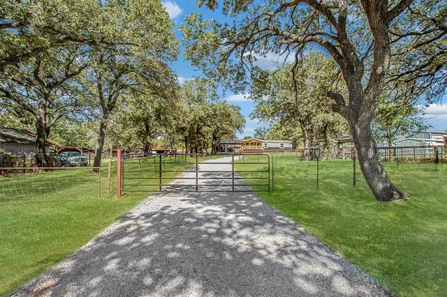 a view of a park with large trees