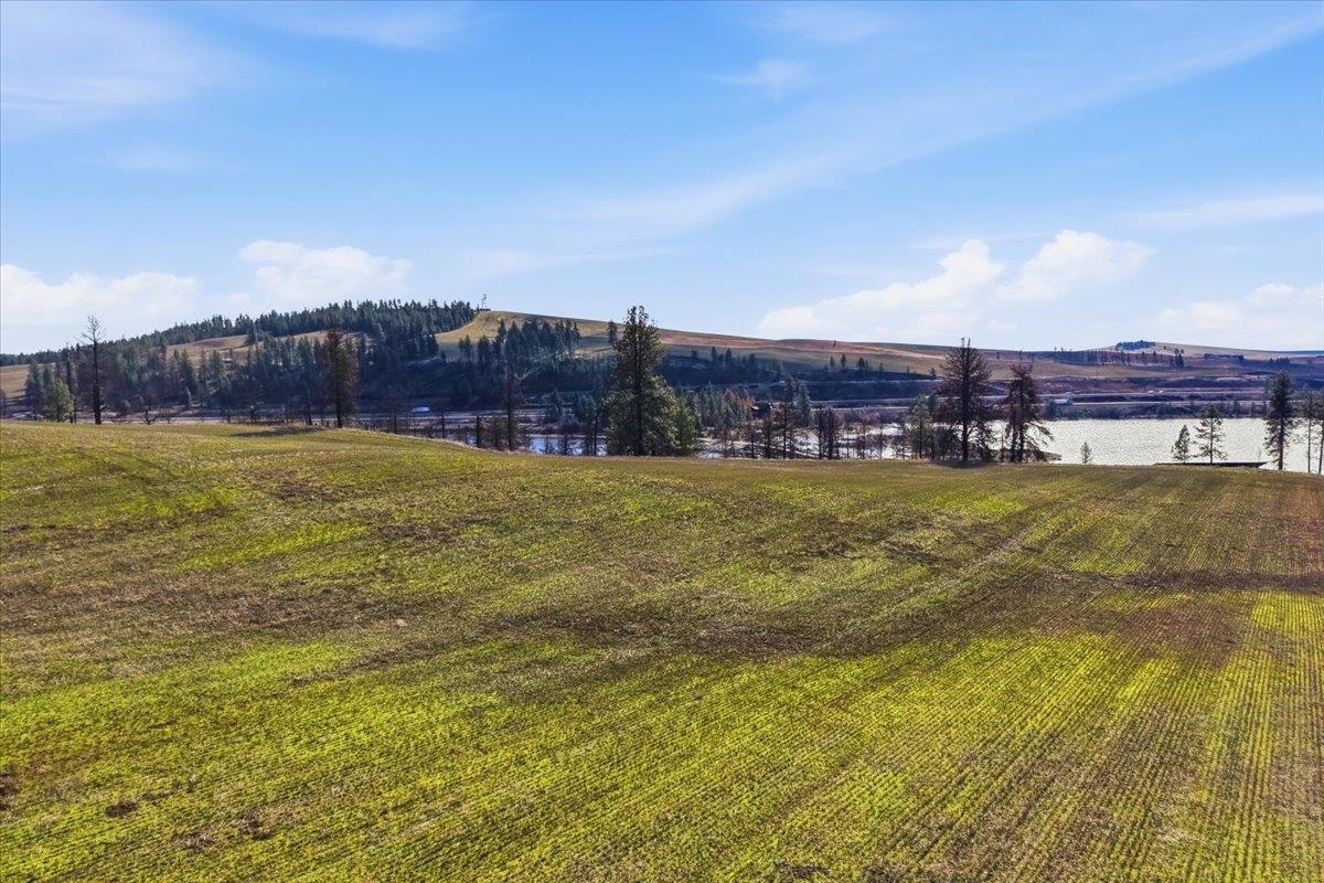 156-xx West Silver Lake Road Cheney, WA 99004 - Photo 12 of 14