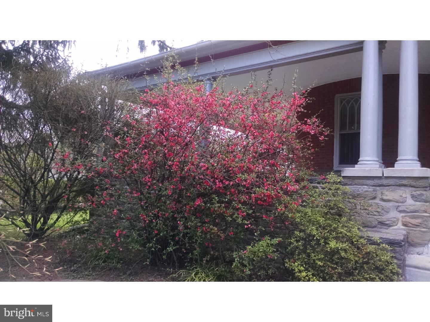 235 Pelham Road Philadelphia, PA 19119 - Photo 23 of 24 Garden