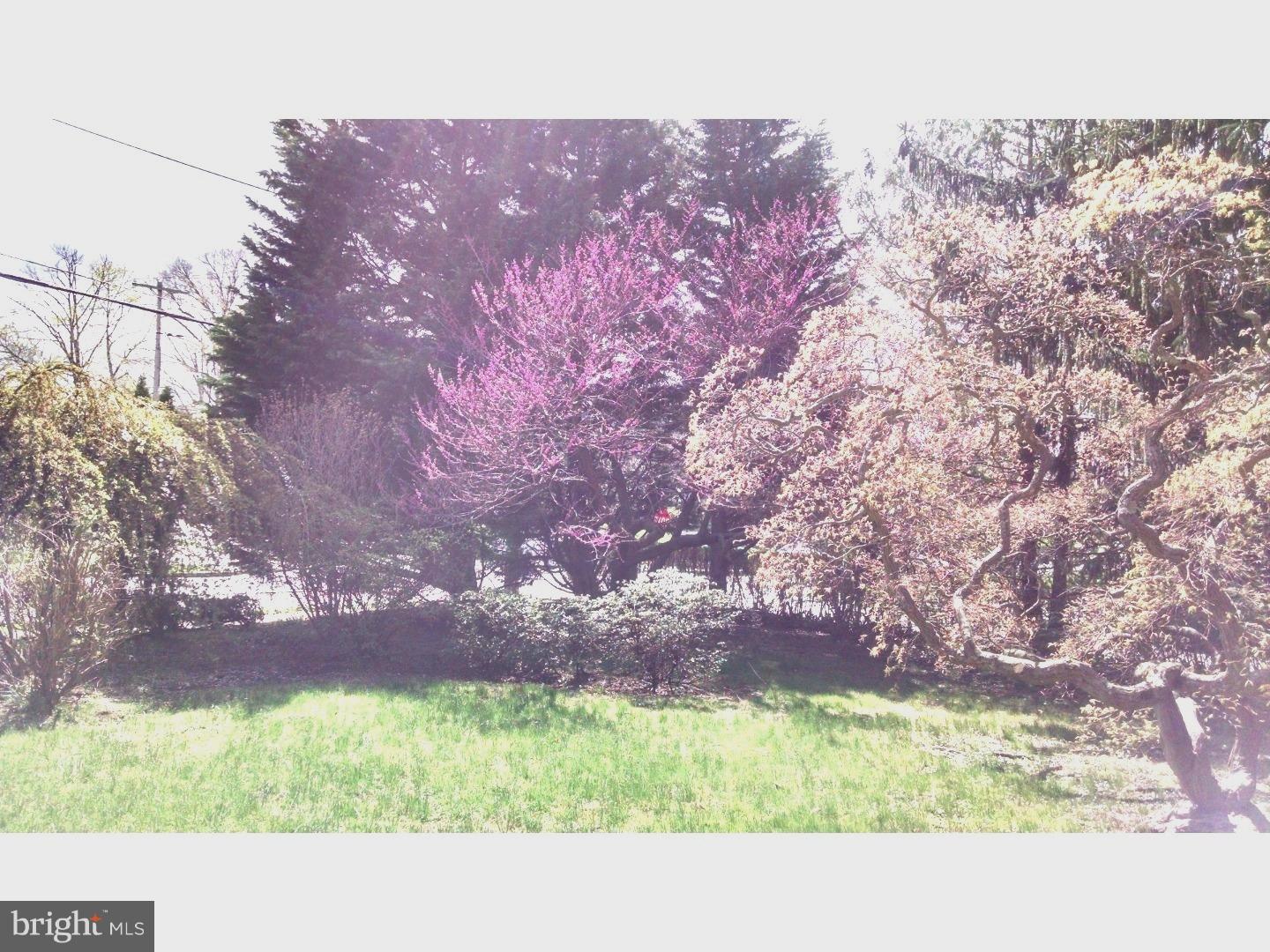 235 Pelham Road Philadelphia, PA 19119 - Photo 24 of 24 Garden