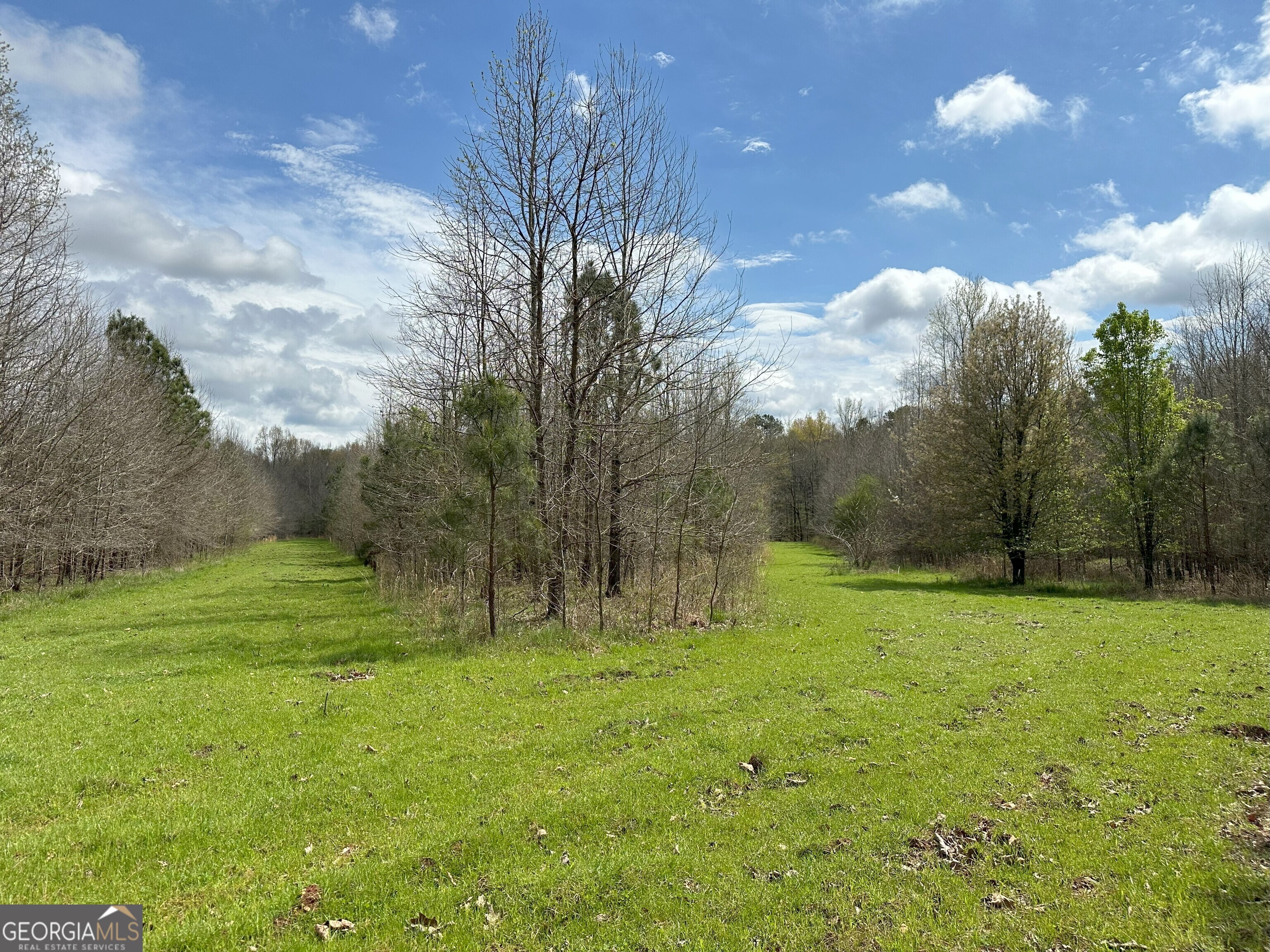 0 Duckpond Lexington, GA 30648 - Photo 1 of 1 a backyard of a house with lots of green space