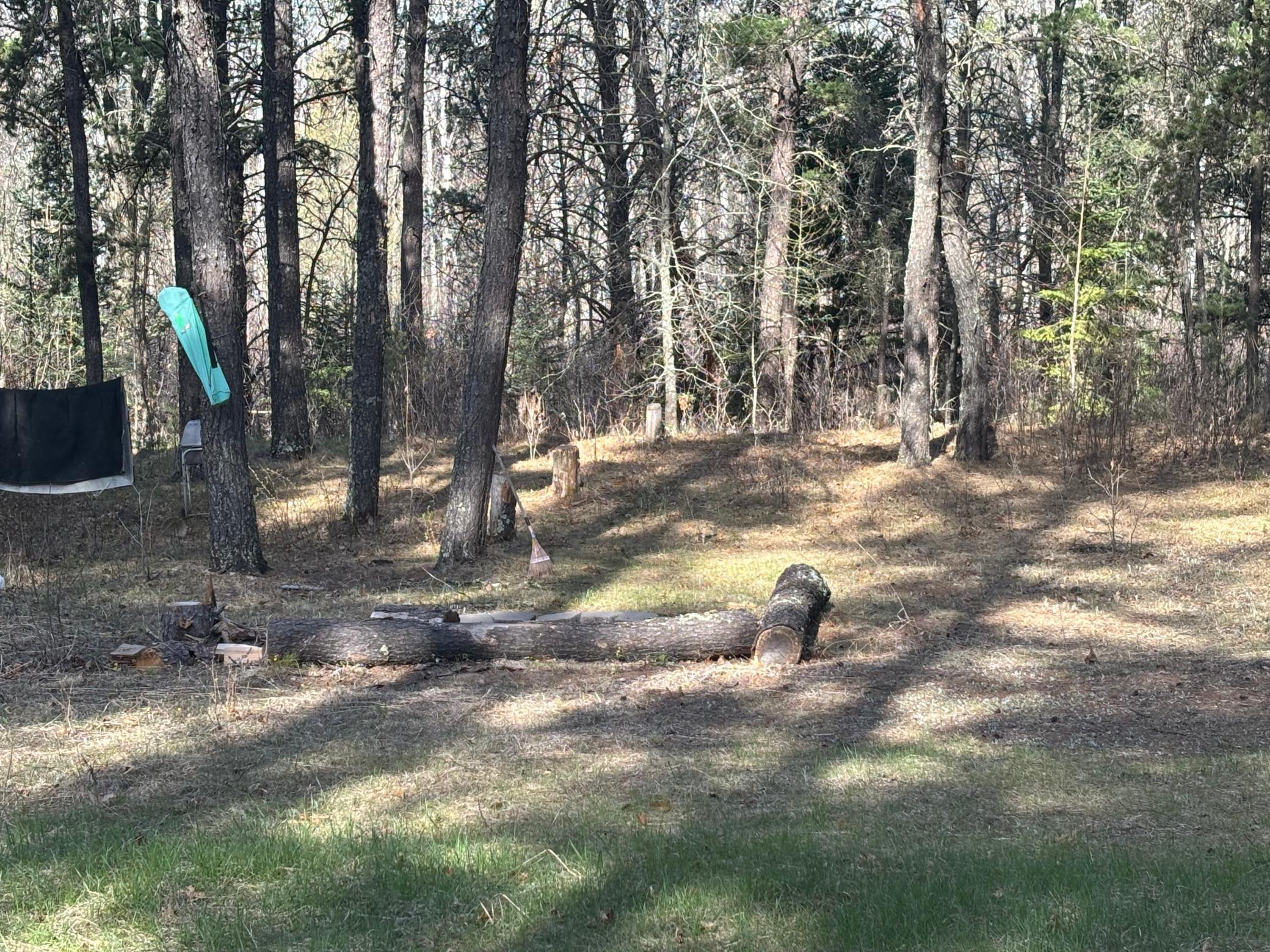 Tbd Arbor Road Park Rapids, MN 56470 - Photo 1 of 29