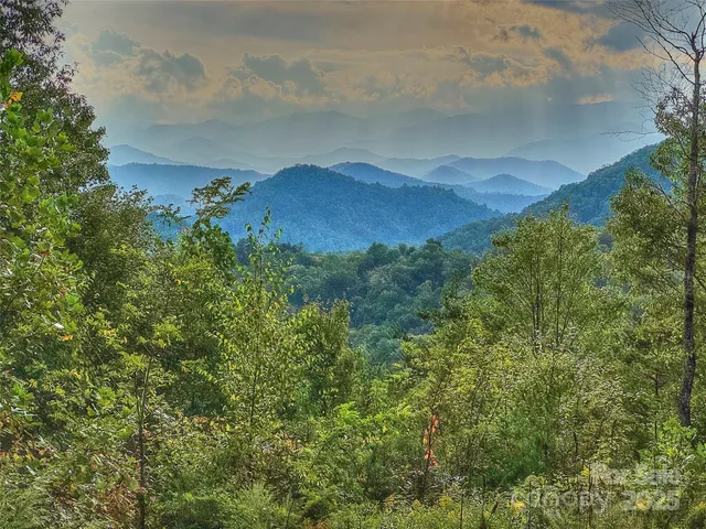a view of a city with lush green forest