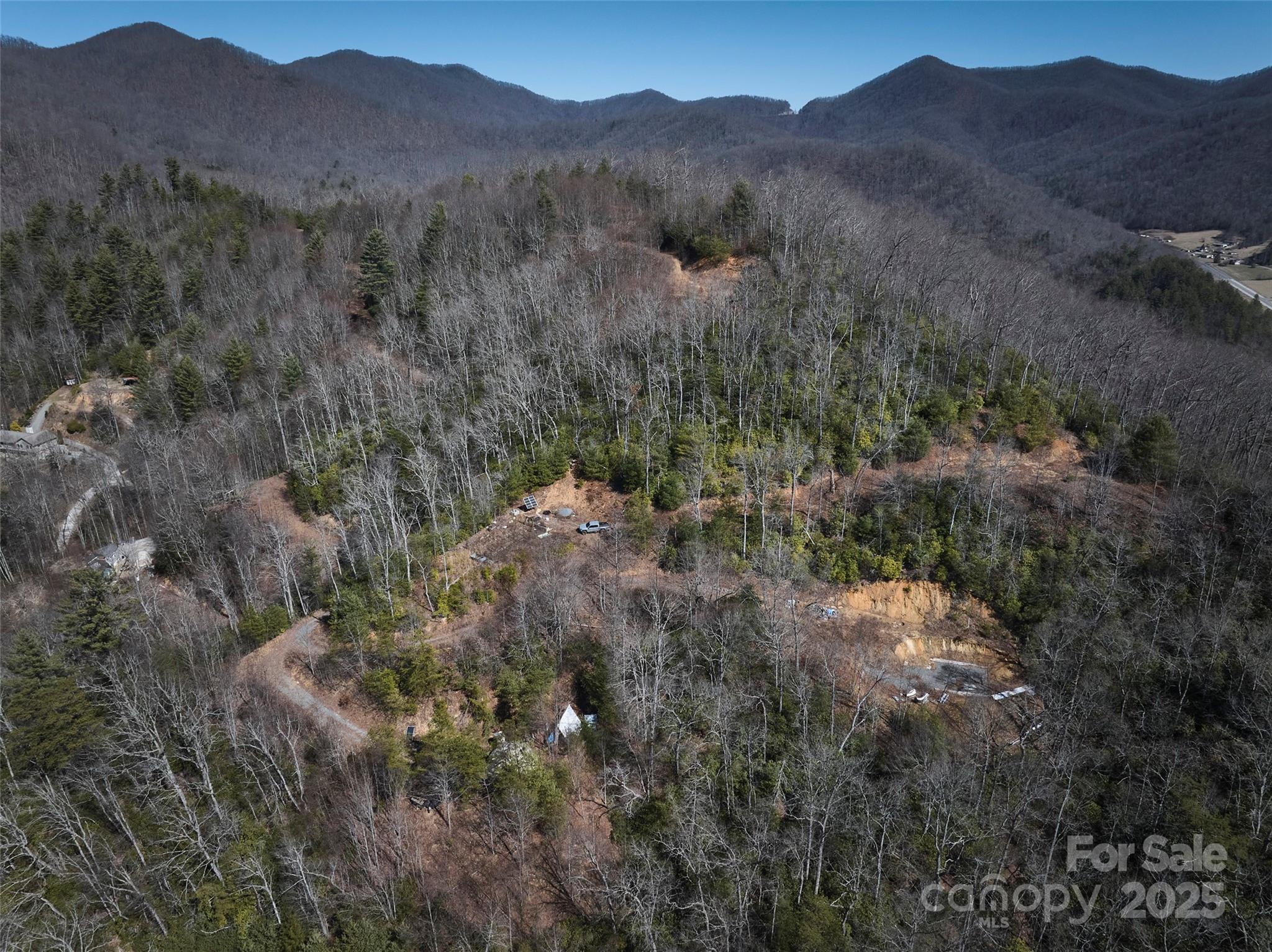 846 Legacy Lane Robbinsville, NC 28771 - Photo 6 of 7 a view of a forest with mountains in the background