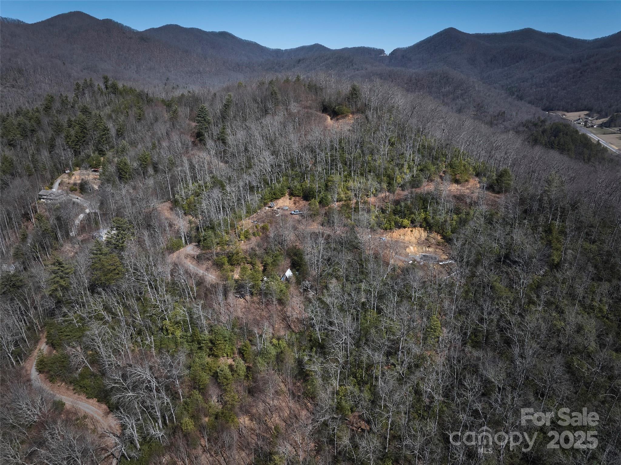 846 Legacy Lane Robbinsville, NC 28771 - Photo 7 of 7 a view of a forest with mountains in the background