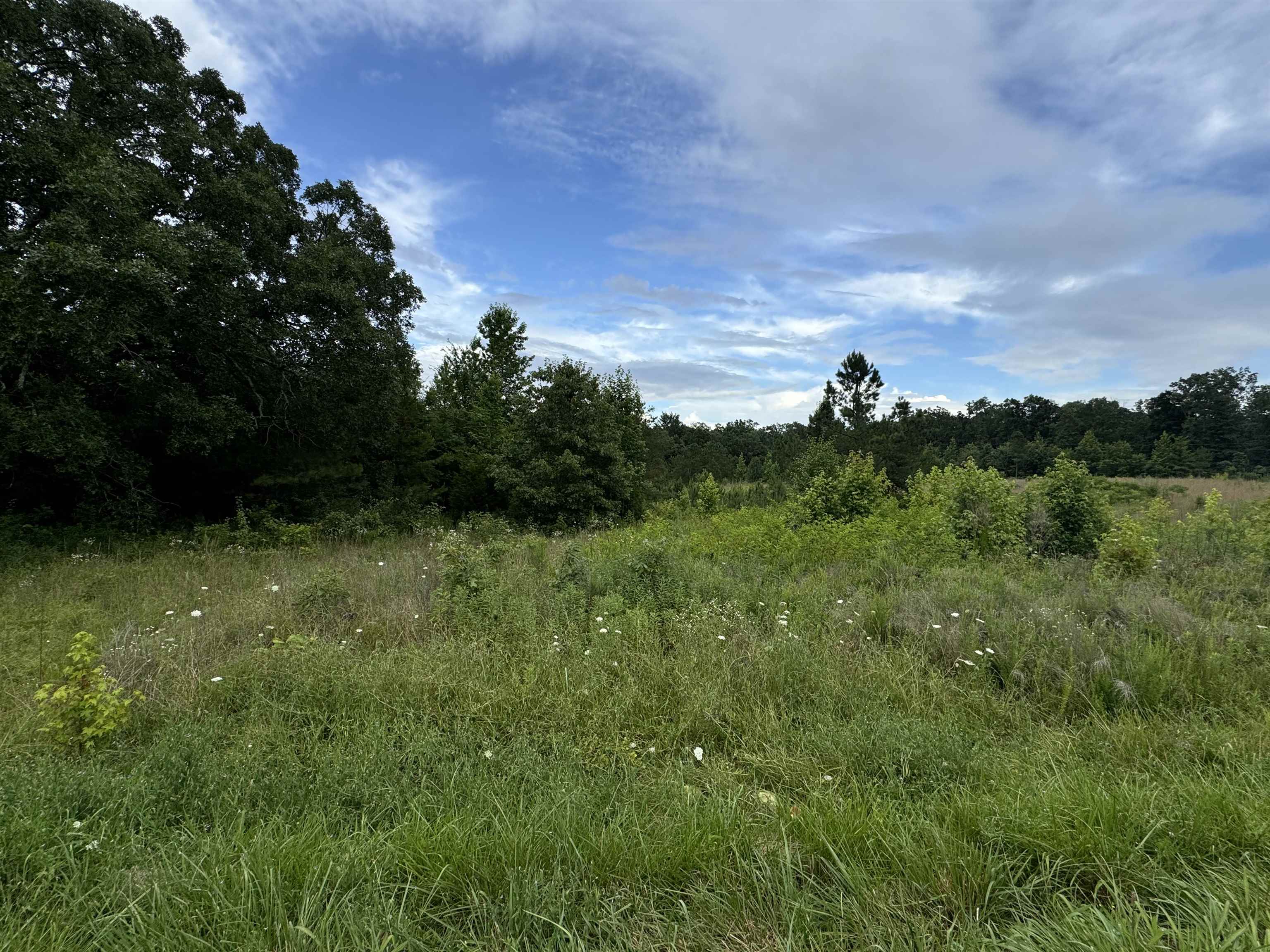 0 Milam Road Finger, TN 38334 - Photo 1 of 13 a view of outdoor space and yard