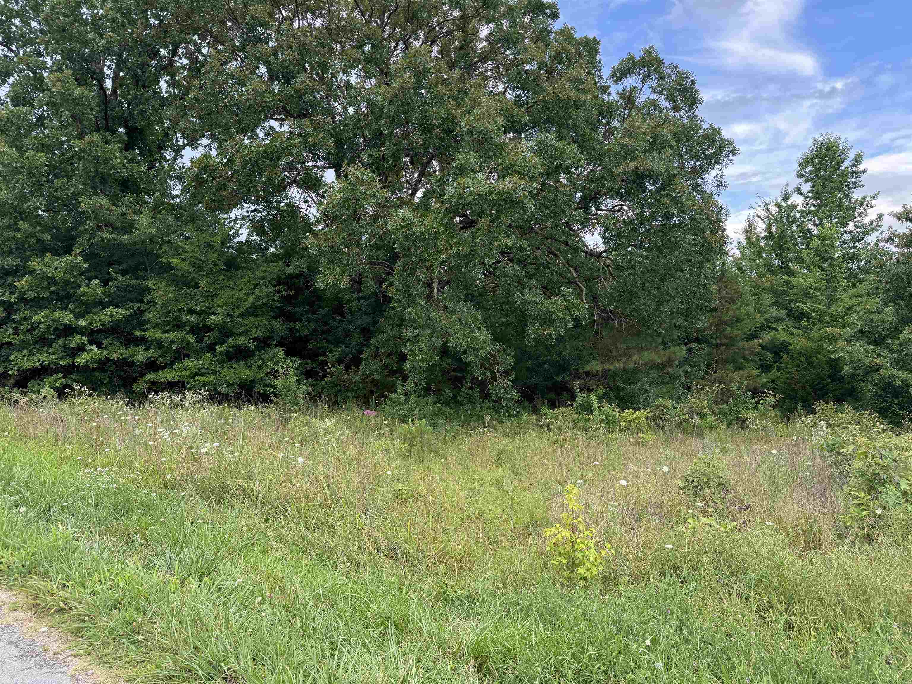 0 Milam Road Finger, TN 38334 - Photo 11 of 13 a view of a lush green space