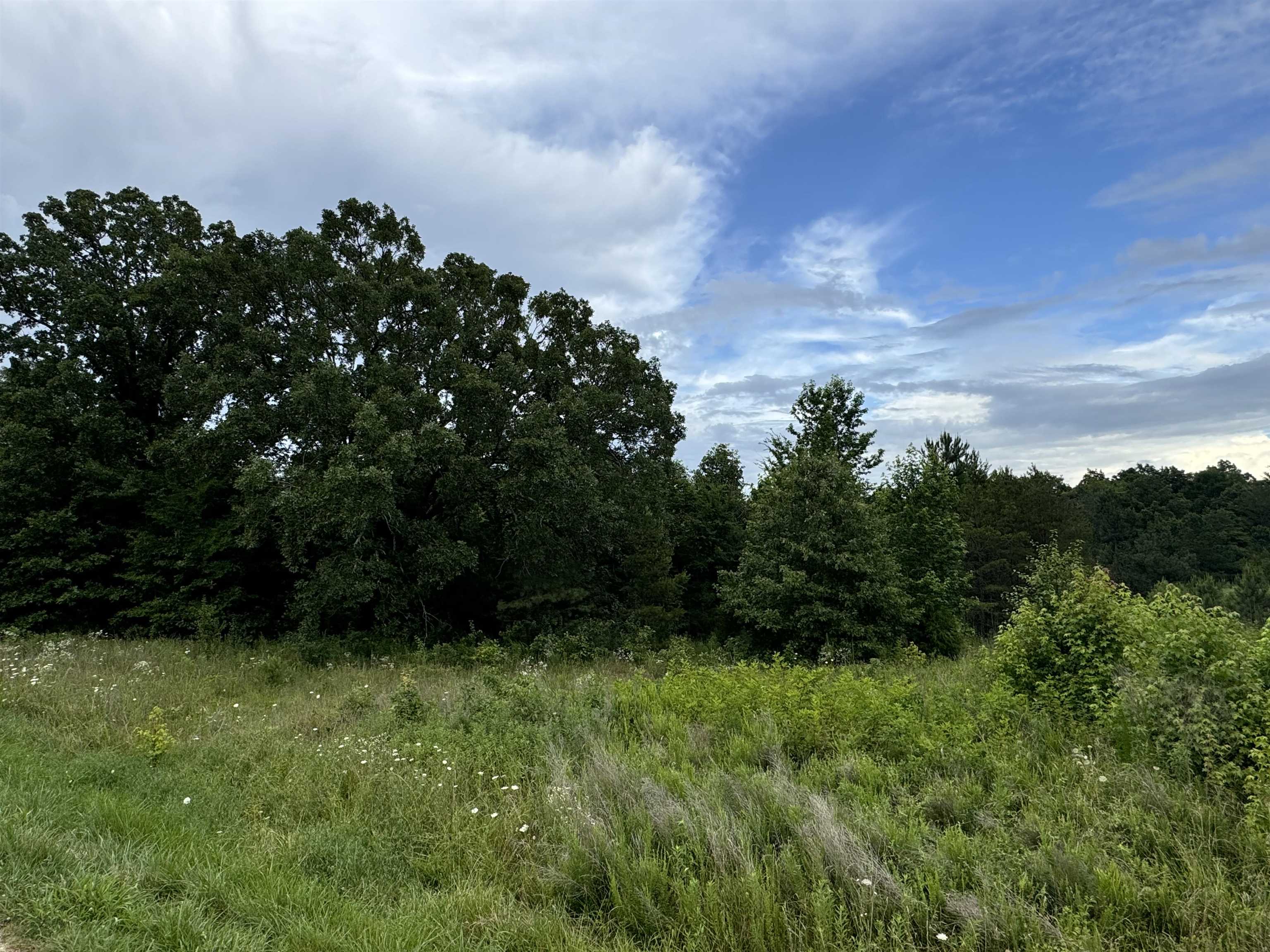 0 Milam Road Finger, TN 38334 - Photo 2 of 13 a view of outdoor space and yard