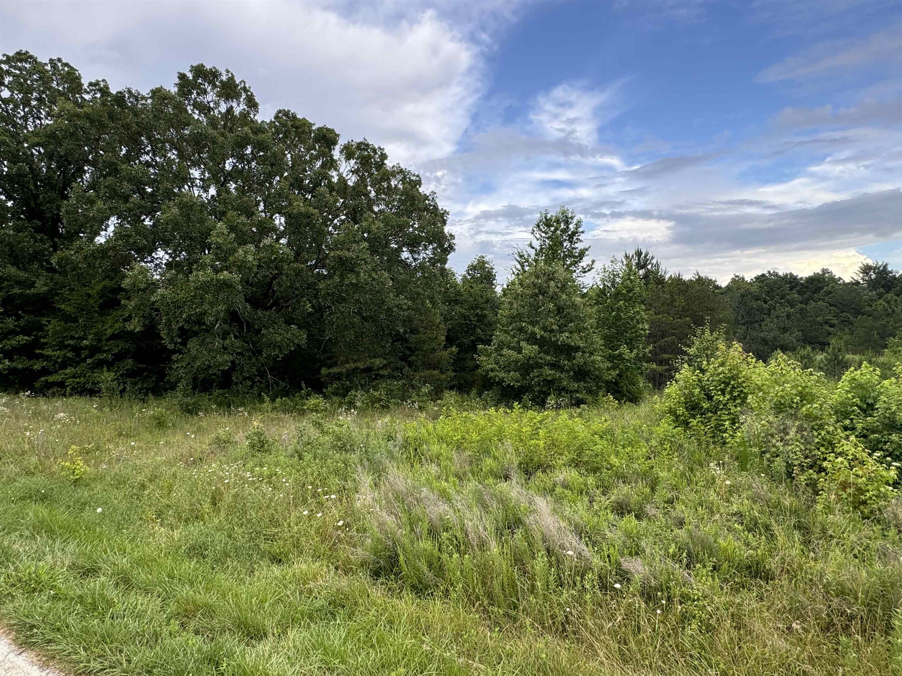 0 Milam Road Finger, TN 38334 - Photo 3 of 13 a view of a yard
