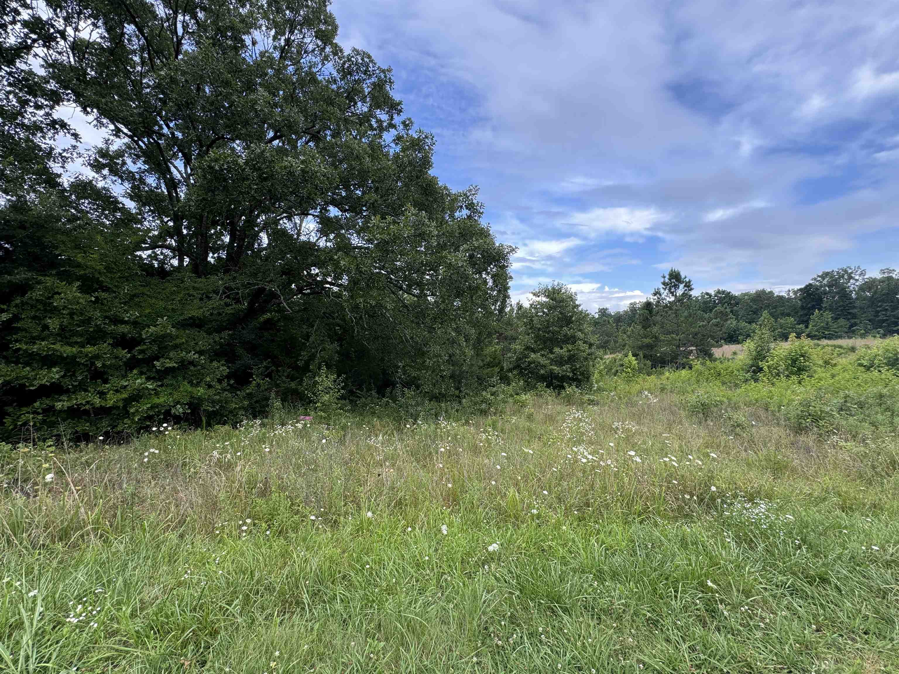 0 Milam Road Finger, TN 38334 - Photo 4 of 13 a view of a lush green space