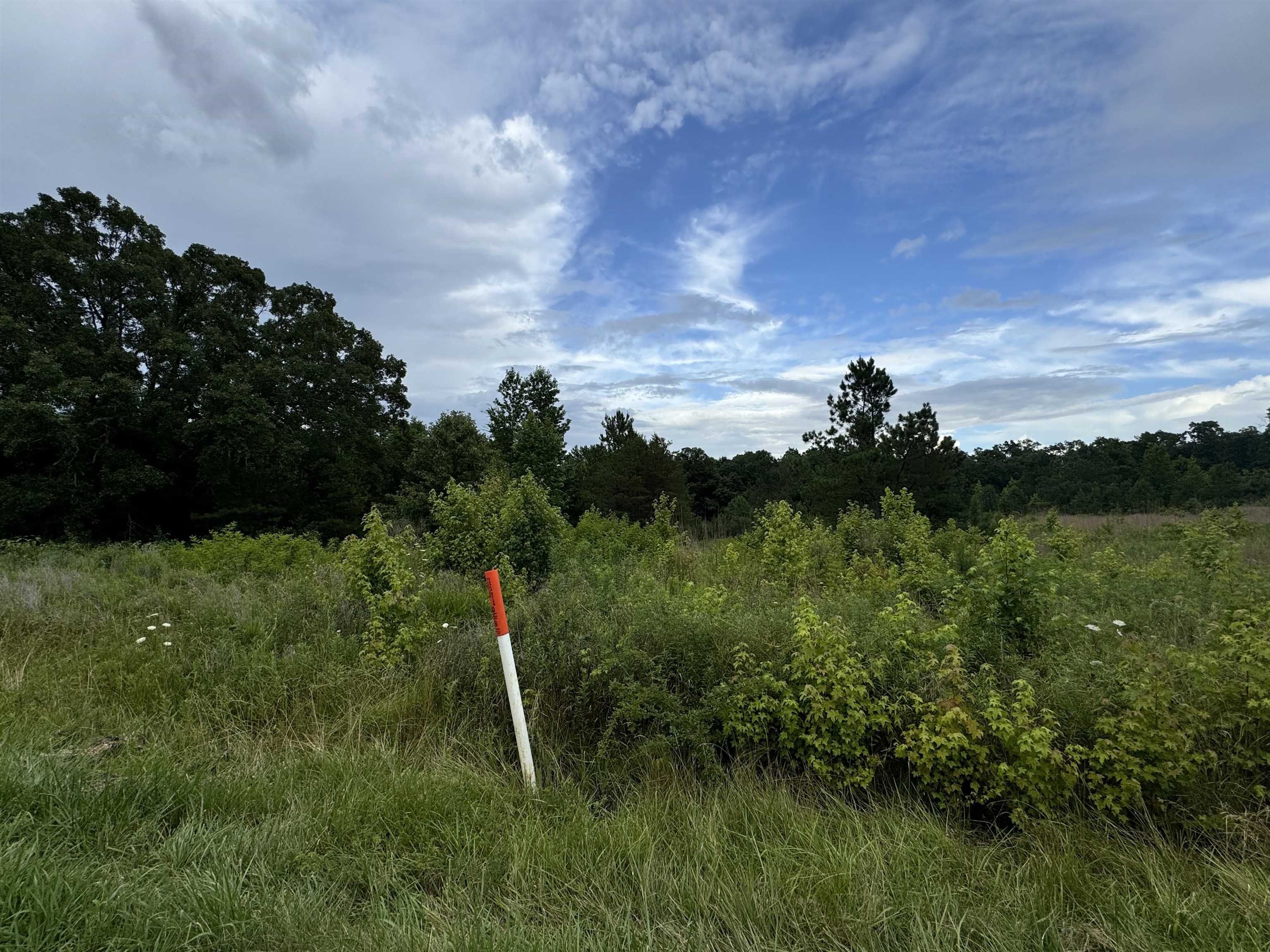 0 Milam Road Finger, TN 38334 - Photo 6 of 13 a view of a green field with lots of green space
