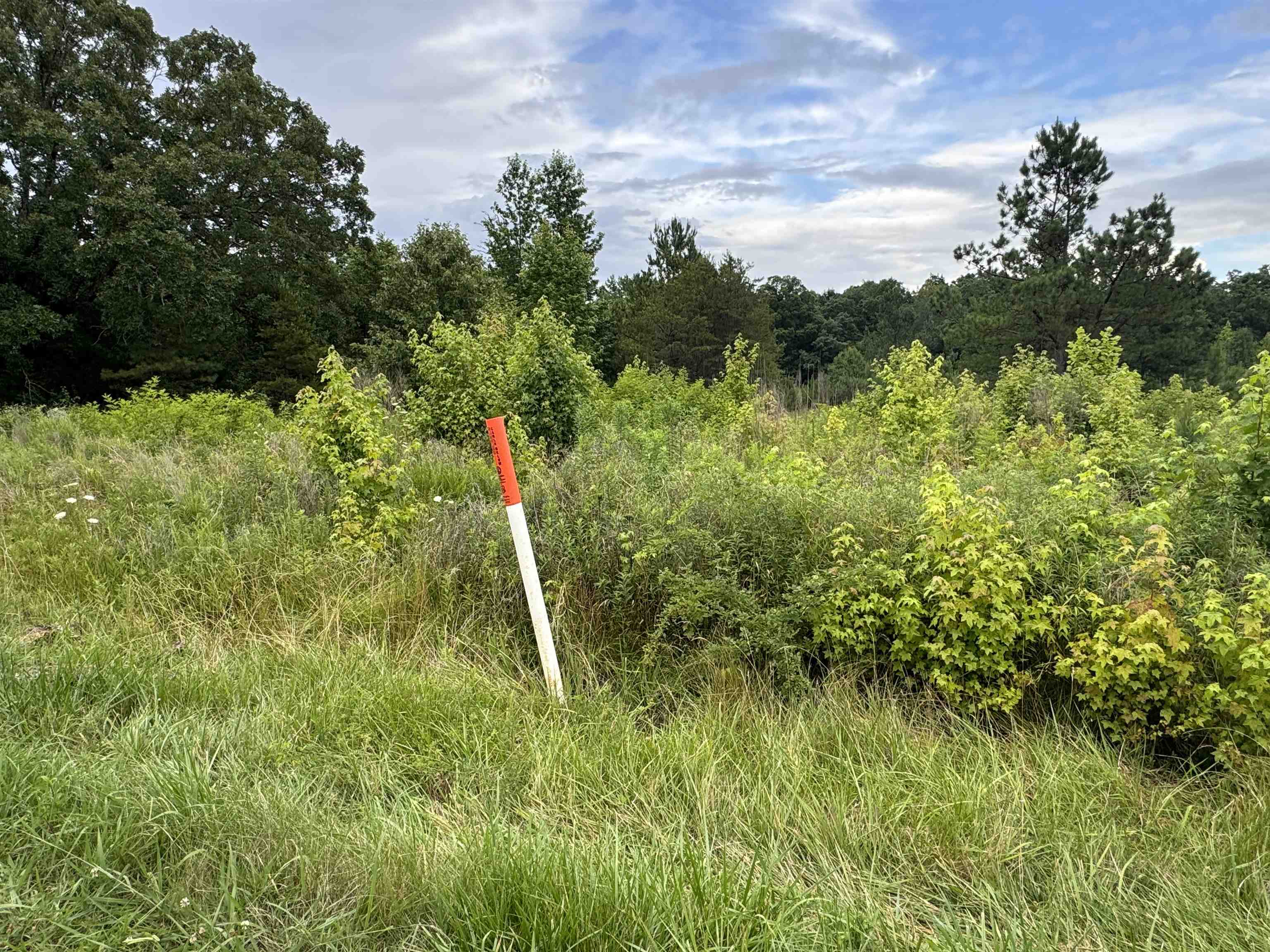 0 Milam Road Finger, TN 38334 - Photo 7 of 13