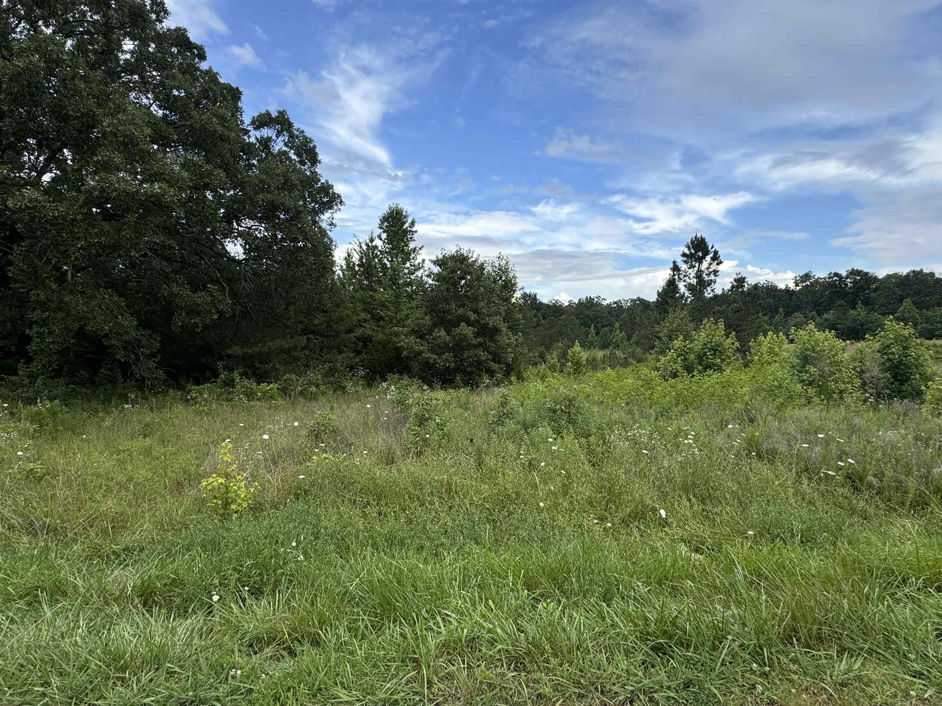 0 Milam Road Finger, TN 38334 - Photo 9 of 13 a view of outdoor space and yard