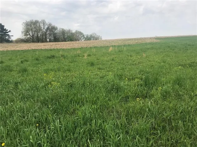 a view of an outdoor space and a yard