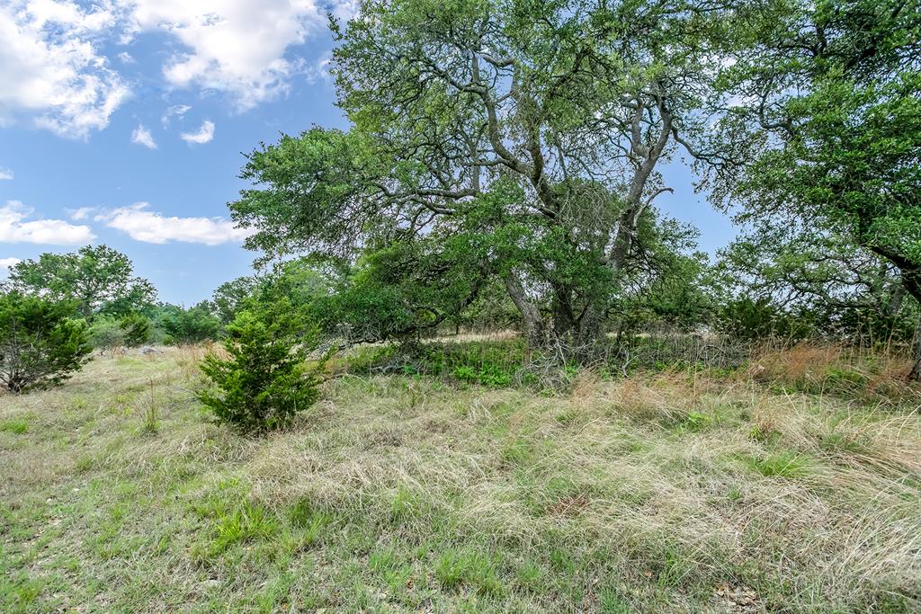 221 Spring Road, Unit 31 Fredericksburg, TX 78624 - Photo 3 of 6 Gallery Image 3