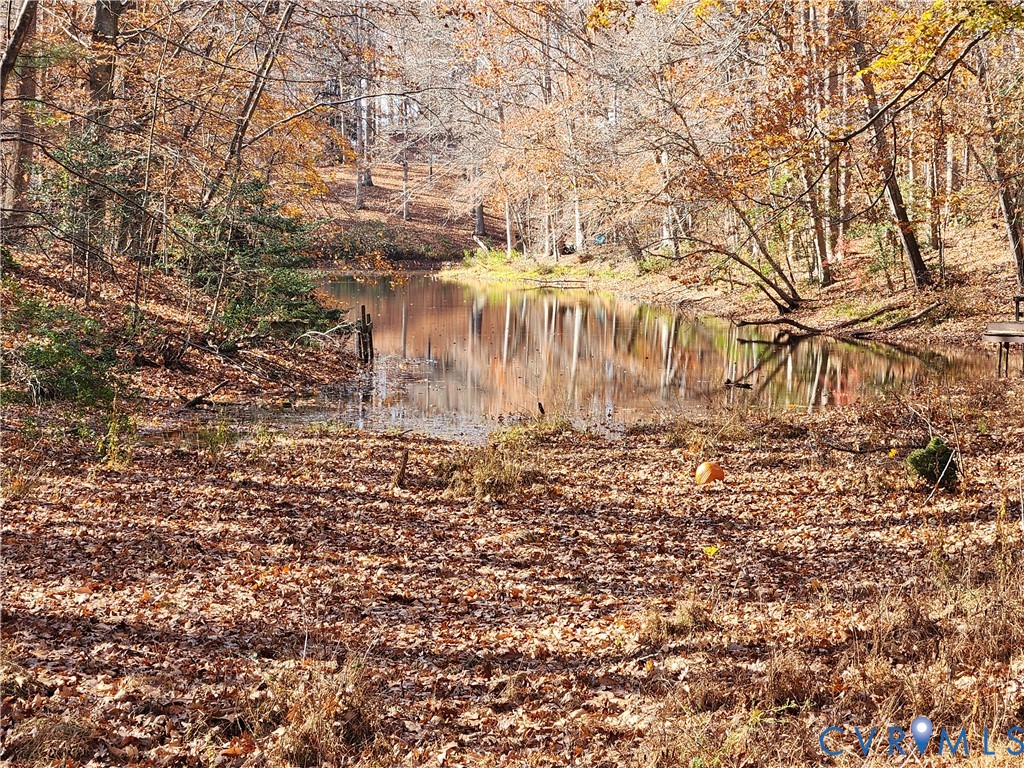 Beautiful and Relaxing Pond view