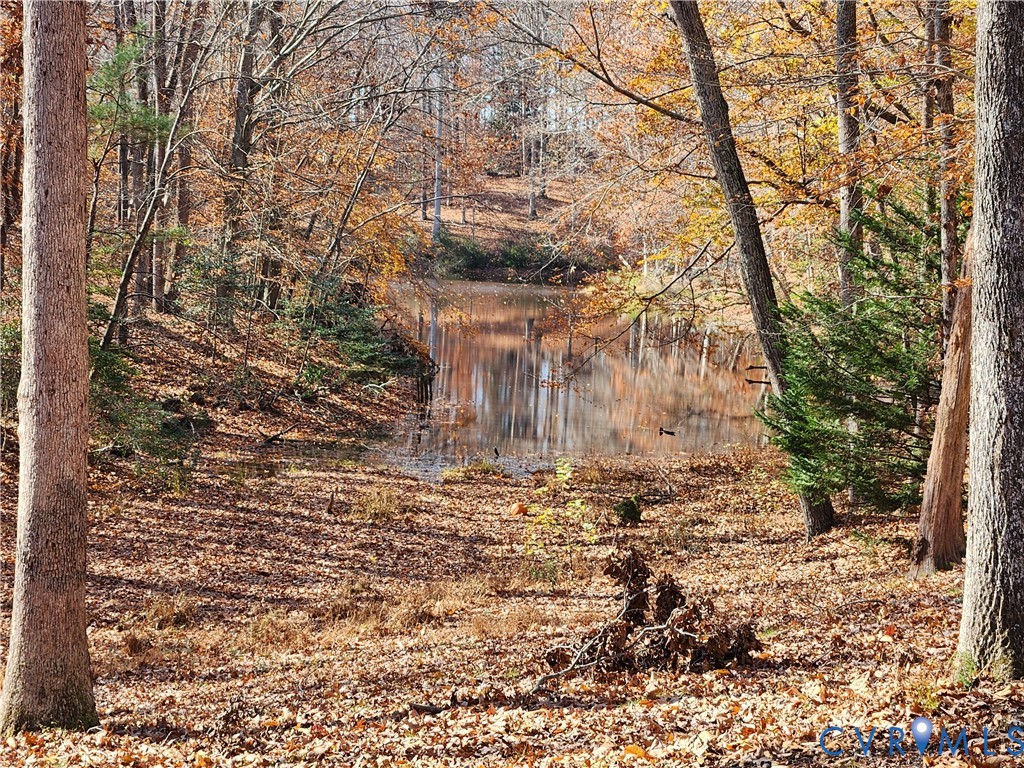 153 Deer Trail Aylett, VA 23009 - Photo 50 of 50 a view of a yard with trees