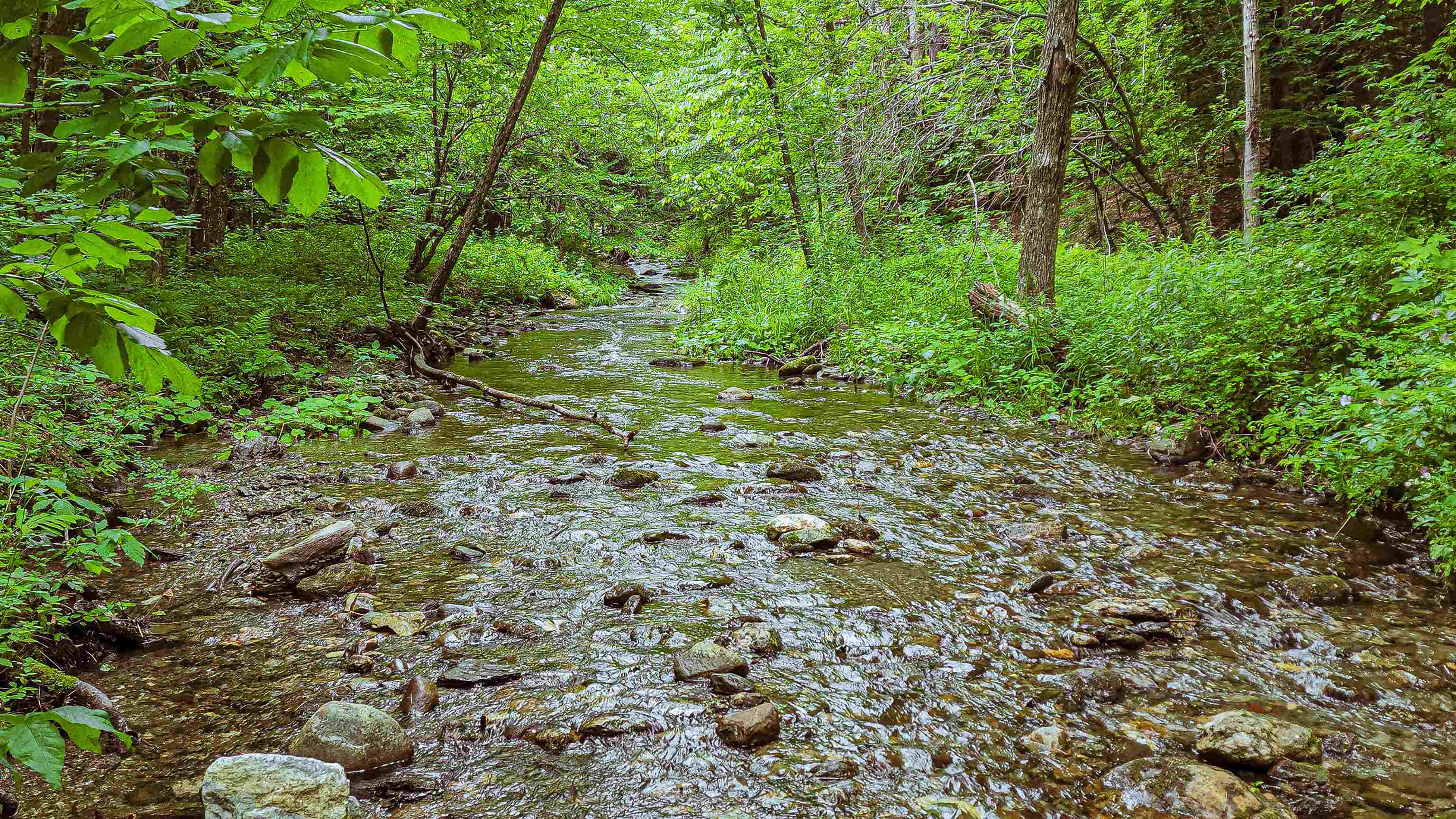 372 W Road Ira, VT 05777 - Photo 25 of 30