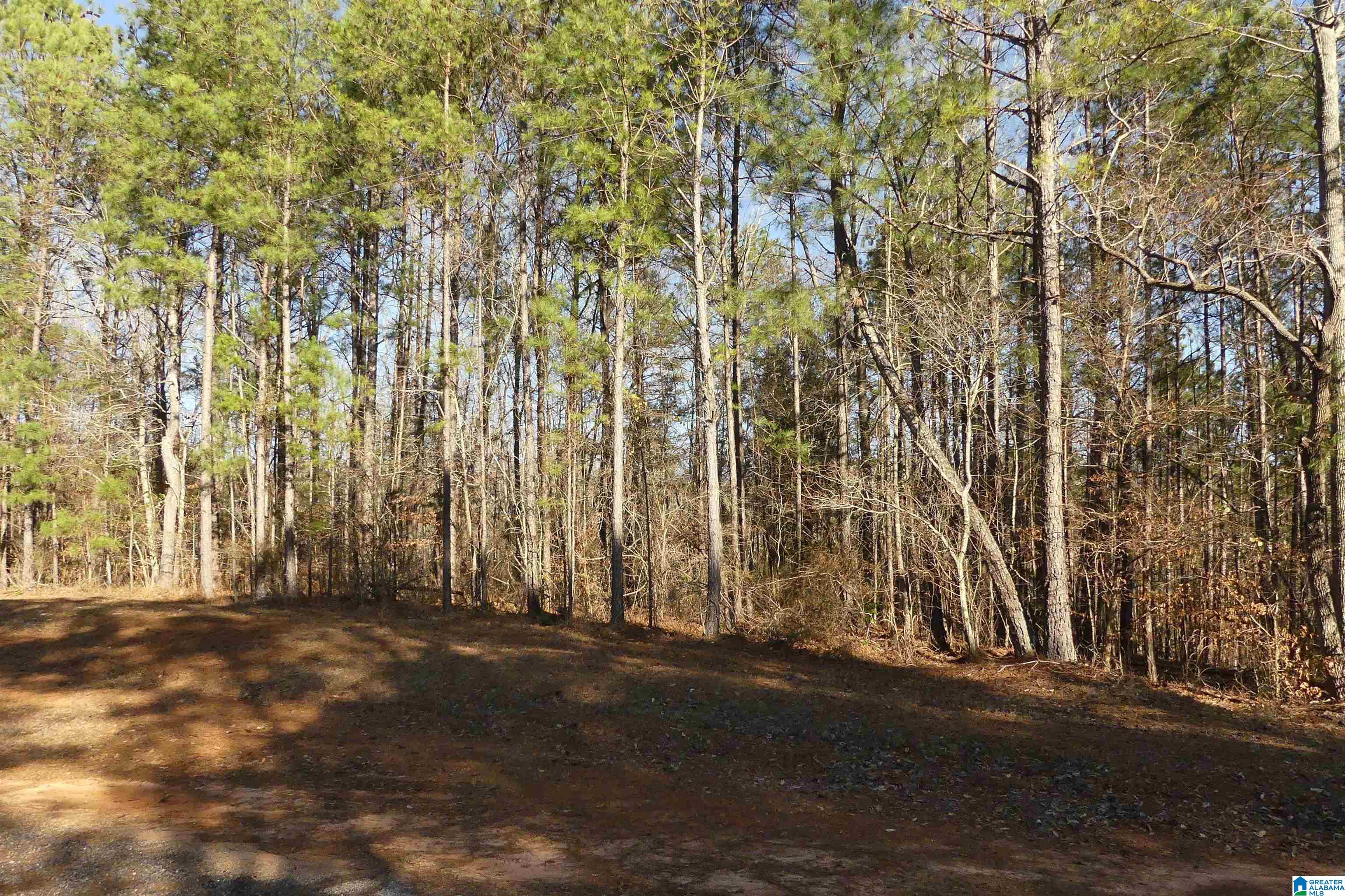 Lot # Memory Lane, Unit 4 Wedowee, AL 36278 - Photo 4 of 9