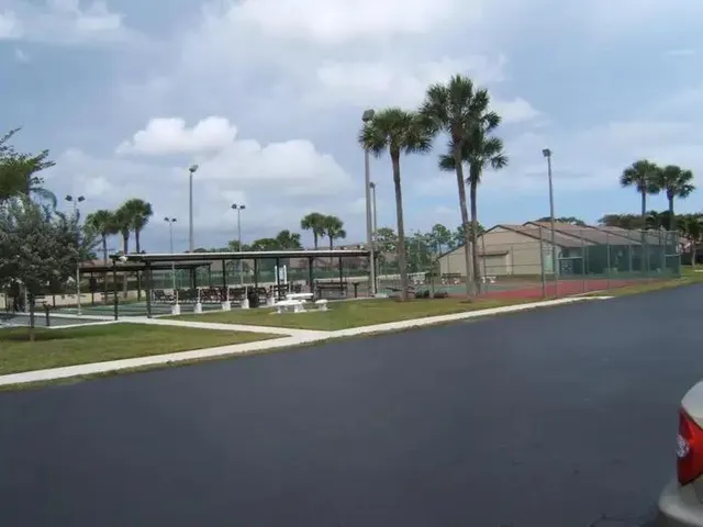 a view of a swimming pool with a yard and palm trees