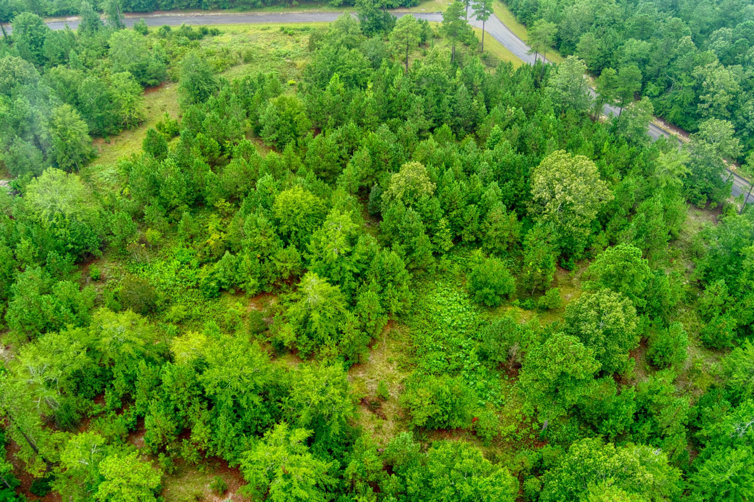 Lot 5 Cooks Pond Road Windsor, SC 29856 - Photo 10 of 23