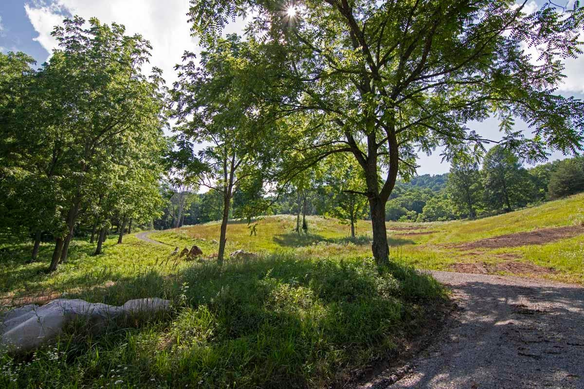 Rich Hollow Road Lewisburg, WV 24901 - Photo 13 of 59 Gallery Image 13