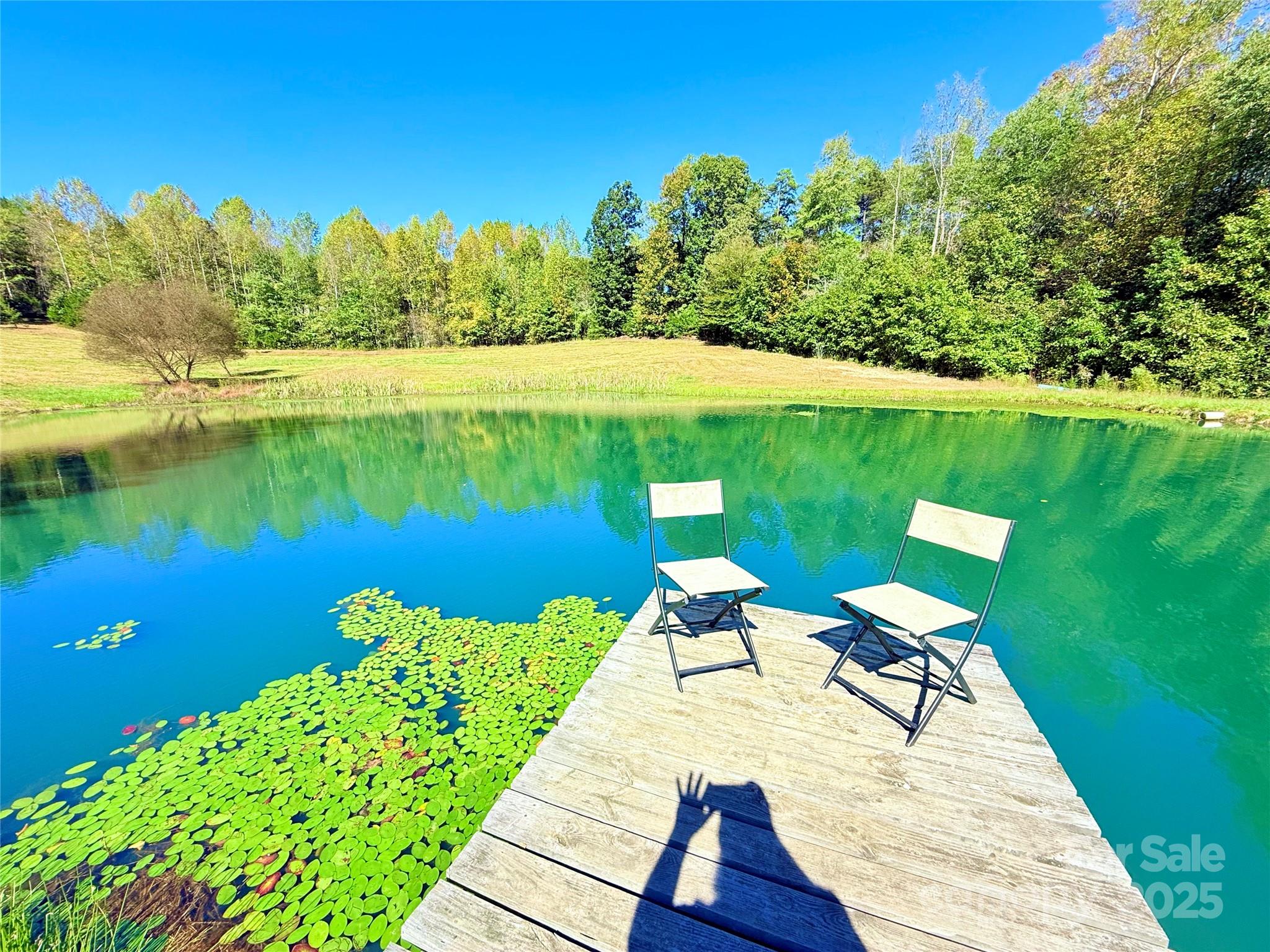 a view of a lake with a floor to ceiling yard