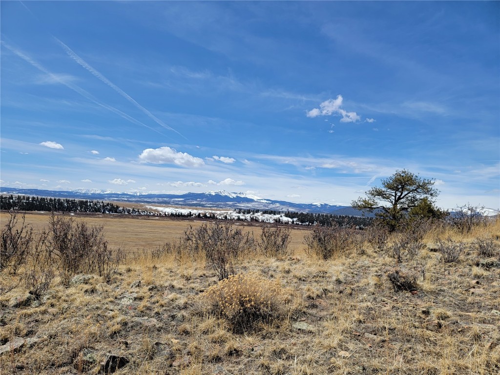 337 Redhill Road Fairplay, CO 80440 - Photo 4 of 32 a view of a lake with a mountain view