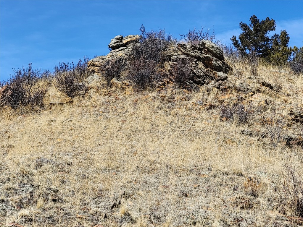 337 Redhill Road Fairplay, CO 80440 - Photo 5 of 32 a view of a field