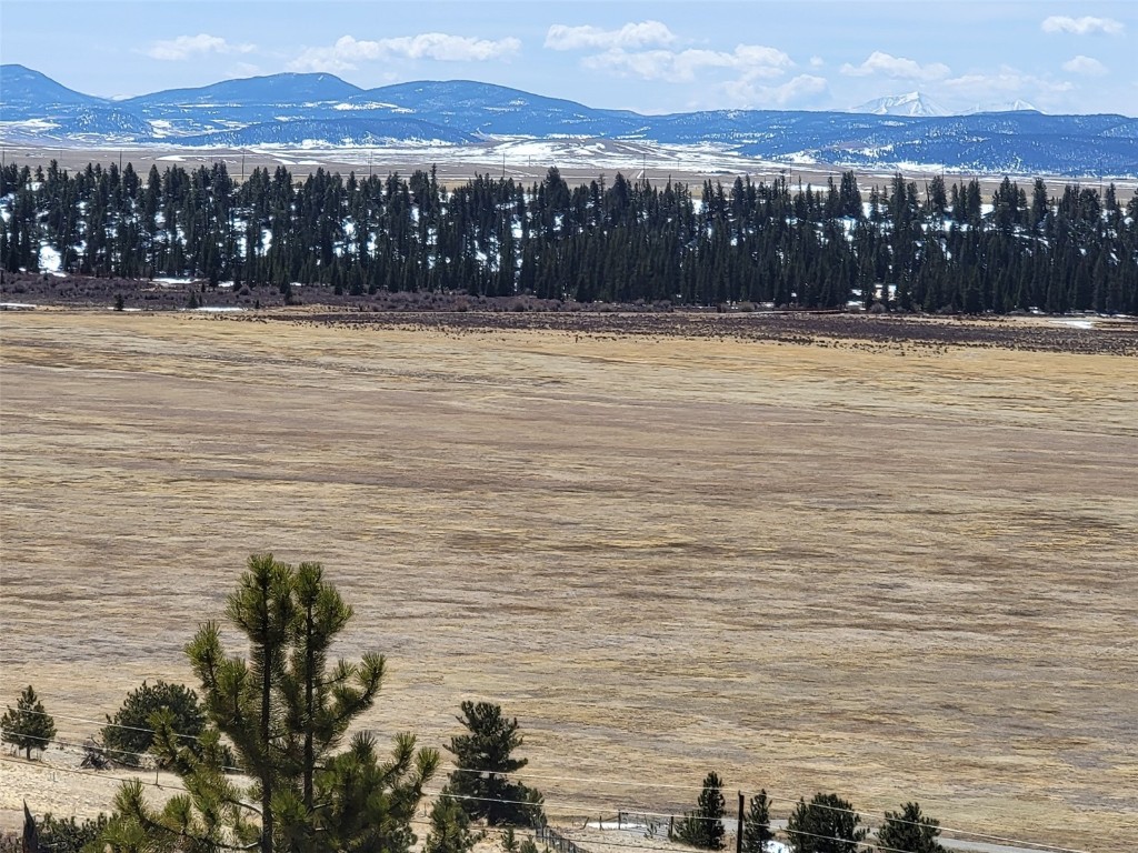 337 Redhill Road Fairplay, CO 80440 - Photo 9 of 32 a view of lake view and mountain view