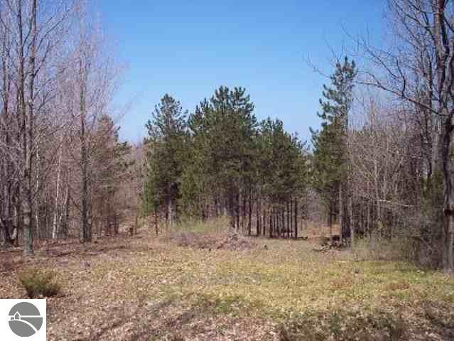 0 Graves Road, Unit LOT: A Copemish, MI 49625 - Photo 6 of 11