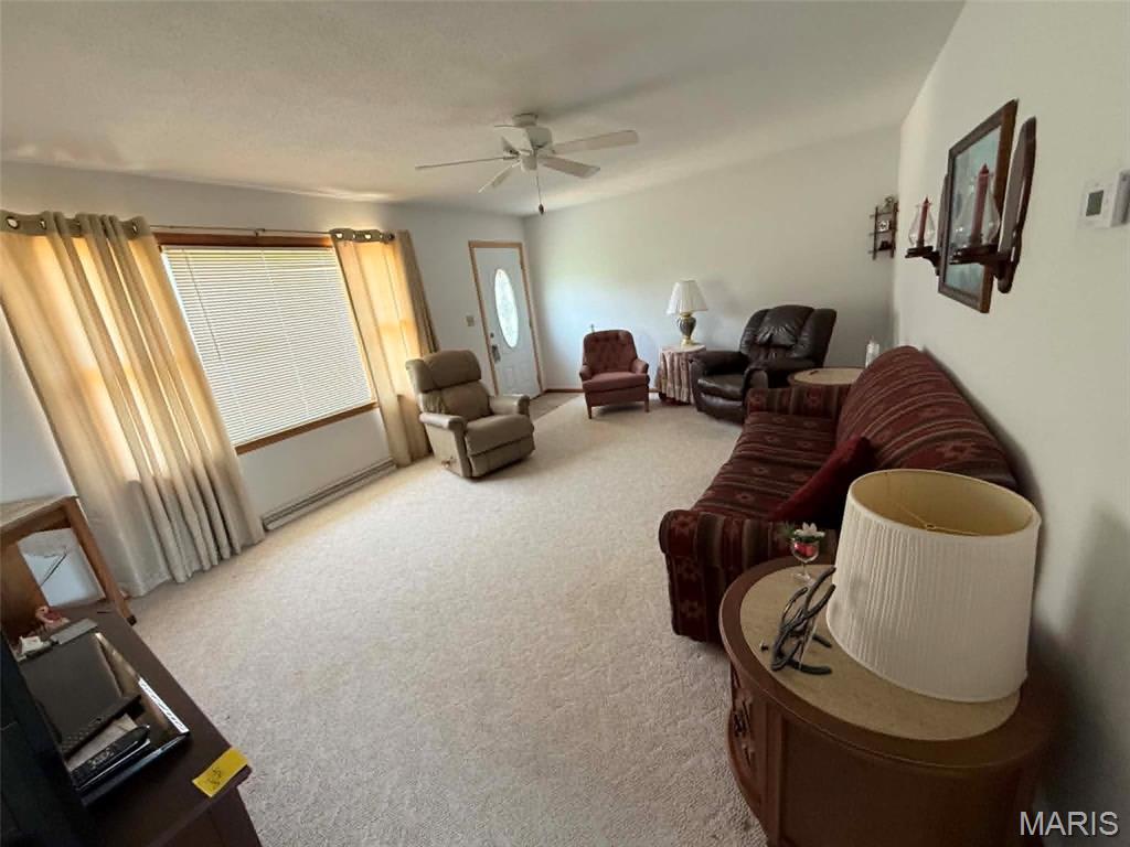 337 East 1st Street Ramsey, IL 62080 - Photo 5 of 17
