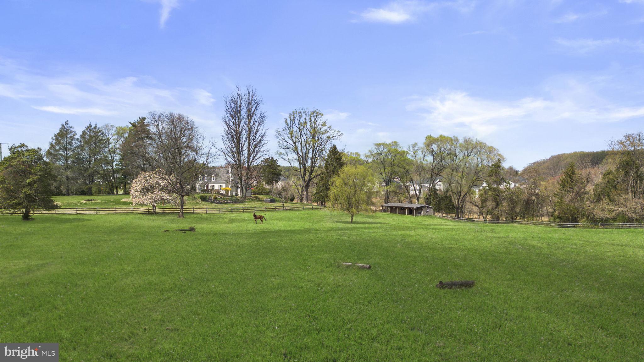 16510 Batchellors Forest Road Olney, MD 20832 - Photo 52 of 62 Pasture