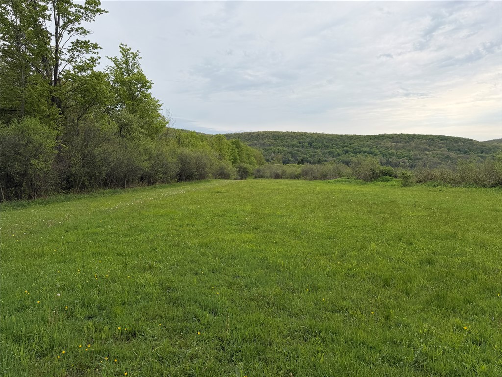 Vl Vl Lyndon Abbott Road Franklinville, NY 14737 - Photo 20 of 50
