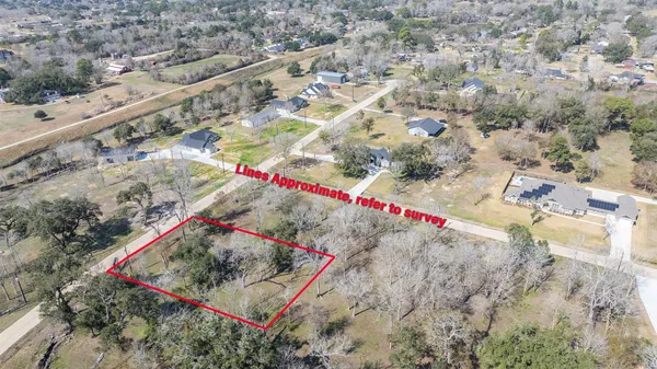 a view of road with large trees