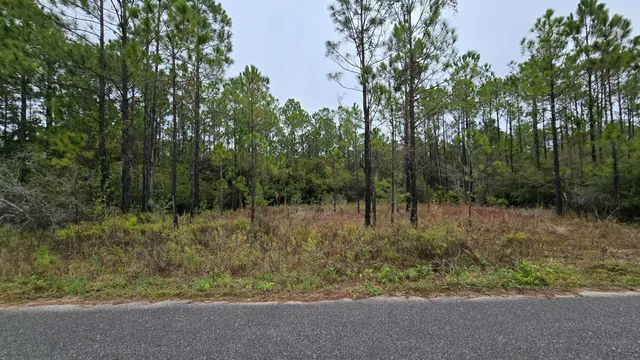 $179,000 | Lot 23 Madie Lane, Santa Rosa Beach, FL 32459