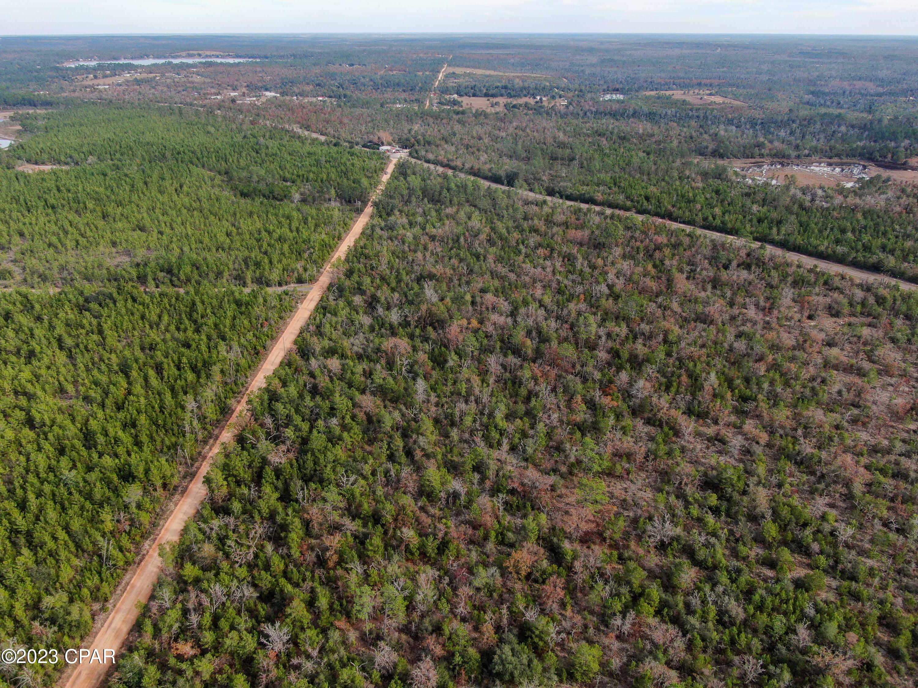 0 Co Road Marianna, FL 32448 - Photo 22 of 29 Gallery Image 22